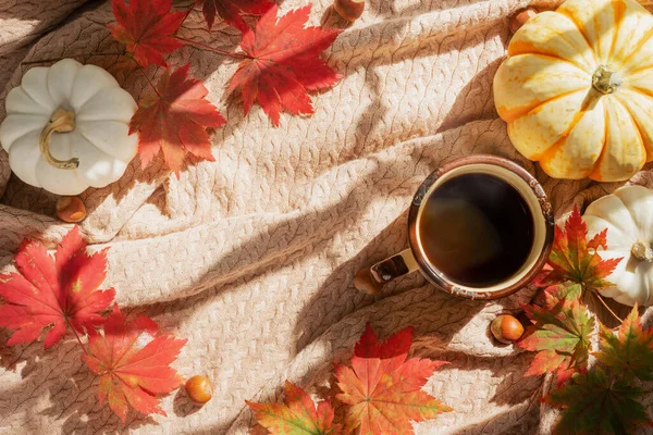 Een Mok Koffie Hazelnoten Rode Esdoorn Bladeren Mini Pompoenen Een — Stockfoto