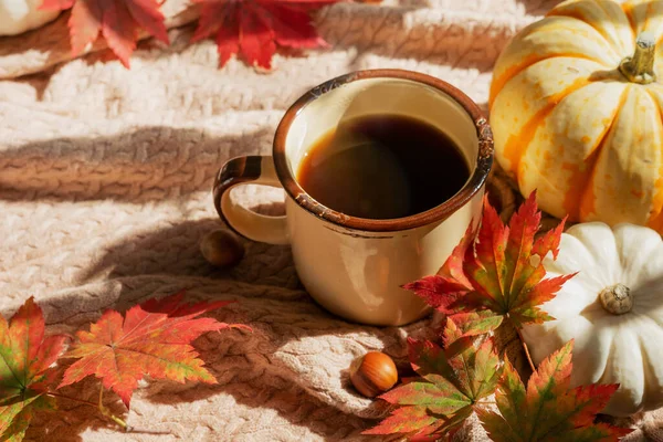 Mug Coffee Hazelnuts Red Maple Leaves Mini Pumpkins Knitted Blanket — Stock Photo, Image