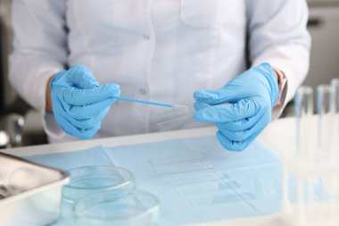 Doctor in gloves holds brush for smears and glass in laboratory clipart