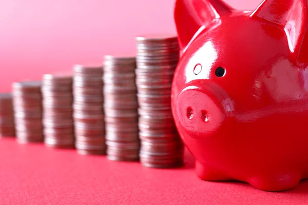 Red pig piggy bank and stacks of coins stand on red background