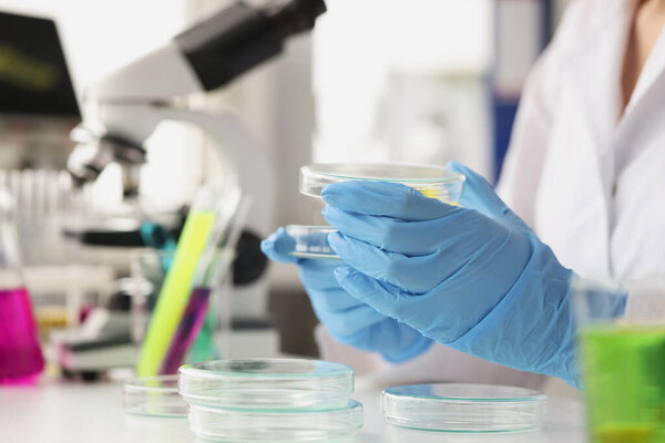 Scientist chemist in rubber gloves opening petri dish in laboratory closeup