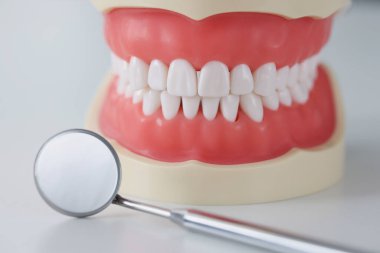 Diş aletleri ayna suni çene yakın yatar