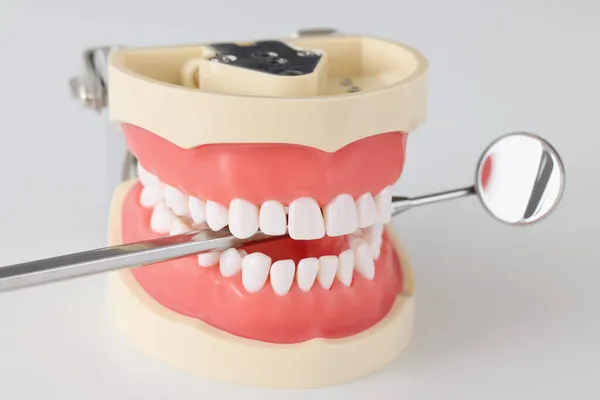 Медицинское зубное зеркало в искусственной челюсти крупным планом — стоковое фото
