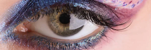 Μπλε σκιά ματιών εφαρμογή μακιγιάζ για τα μάτια closeup — Φωτογραφία Αρχείου