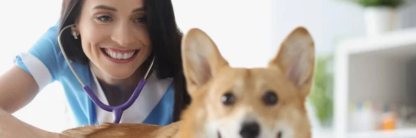 Uśmiechnięty lekarz weterynarii uwodzący psa w klinice — Zdjęcie stockowe