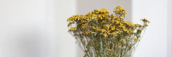 Flores de estatice secas amarillas en un florero — Foto de Stock
