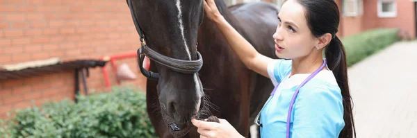 Γυναίκα κτηνίατρος εξοικειώνεται με το άλογο — Φωτογραφία Αρχείου