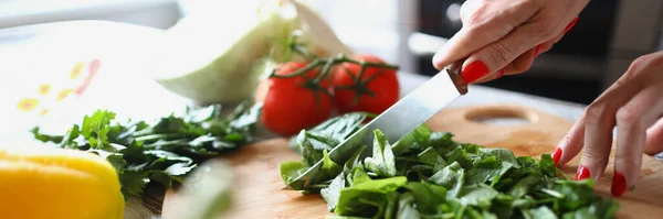 Woman cuts lettuce leaves with kitchen knife — Stock Photo, Image