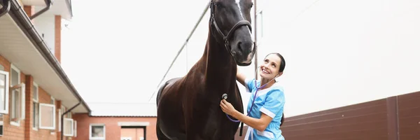 Улыбающаяся ветеринар слушает лошадиную болтовню со стетоскопом. Оказание медицинской помощи животным — стоковое фото