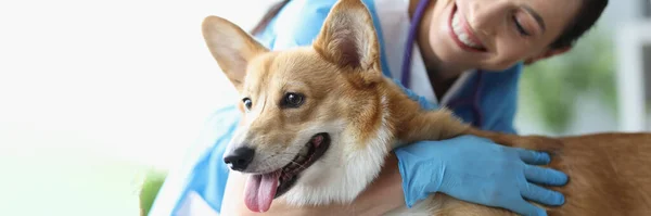 Leende kvinnlig veterinär stroking hund vid läkarbesök närbild — Stockfoto