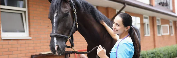 Θηλυκός κτηνίατρος διεξάγει φυσική εξέταση του μαύρου αλόγου — Φωτογραφία Αρχείου