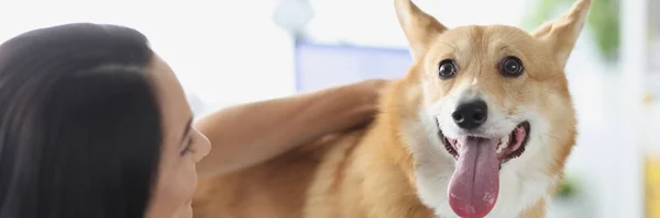Veterinär läkare lyssnar med stetoskop till hund på kliniken — Stockfoto