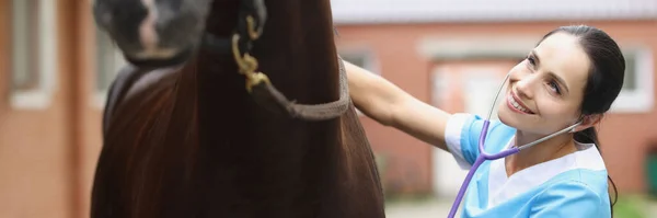 Врач-ветеринар слушает стетоскопом красивую черную лошадь — стоковое фото