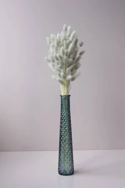 Strauß trockener flauschiger getrockneter Blumen in der Vase auf grauem Hintergrund — Stockfoto