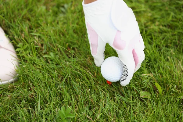 Färskt grönt gräs på fältet — Stockfoto