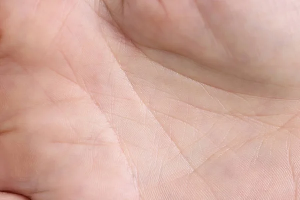Närbild av en makro linje på en vit palm arm — Stockfoto