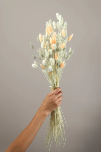 Diy y florista femenina hacen liebres, novio y cuidado de las plantas — Foto de Stock