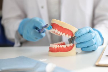 Diş hekimi, diş fırçasıyla yapay çene temizler.