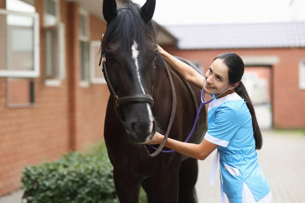 Ветеринарный врач слушает стетоскопом лошадь на ферме — стоковое фото