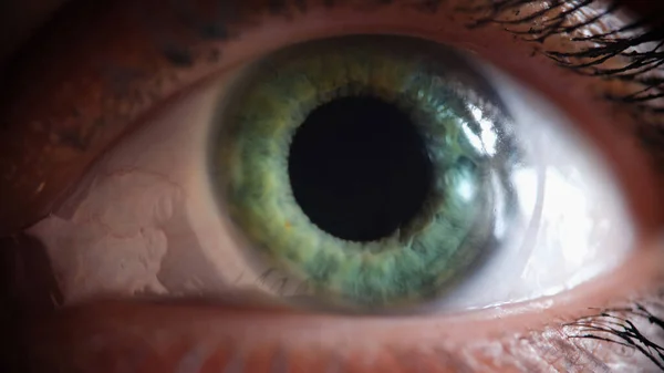 Female eye is gray green with painted eyelashes closeup — Fotografia de Stock