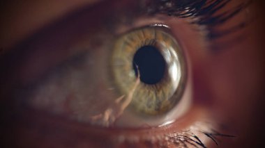 Female one gray green eye with beam of light closeup