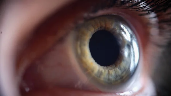 Femmina affascinante occhio verde e blu con ciglia — Foto Stock