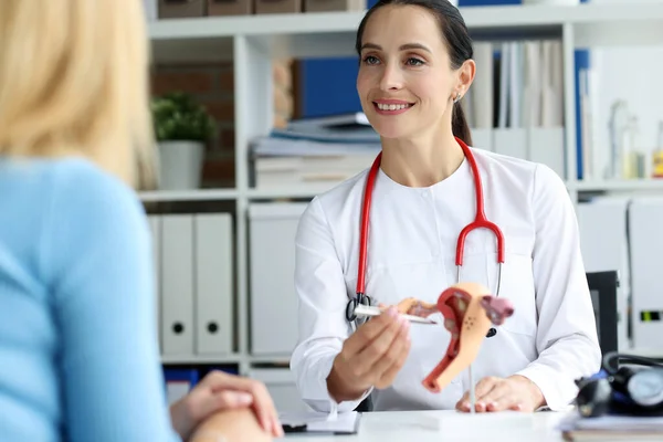 Close Physician Gynecologist Showing Uterus Ovaries Models Female Reproductive System — Stock Photo, Image