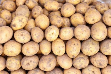 Sebze pazarında soyulmamış çiğ patates. Patates faydaları ve zarar kavramı