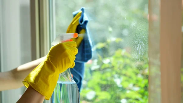 Hands in gloves wash window with rag. Cleaning services concept