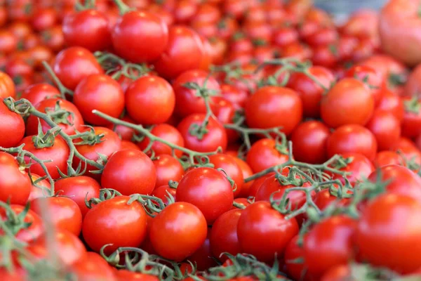 Close Ripe Red Cherry Tomatoes Green Leaves Market Harvesting Selling — Stockfoto