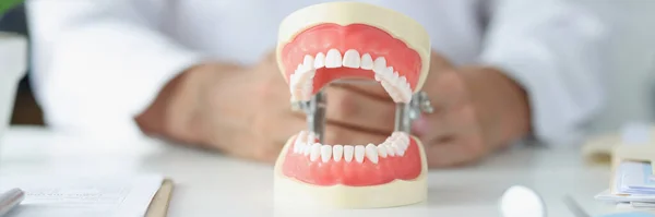 Artificial model of human jaw on table at dentist. Dental treatment and beautiful smile concept