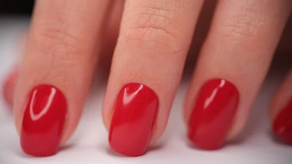 Hand with red classic manicure on nails. Beautiful red manicure