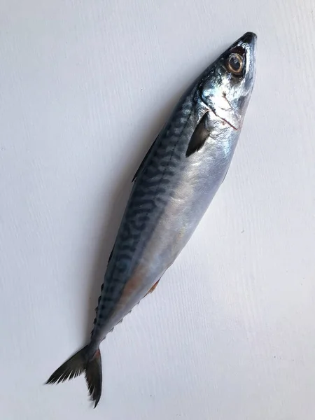 Oczyszczone Gotowe Gotowania Świeże Ryby Ostrobok Ryby Istavrit — Zdjęcie stockowe