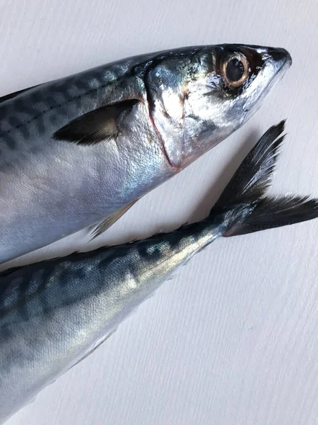 Rensad Och Klar Att Tillaga Färsk Taggmakrill Istavrit Fisk — Stockfoto