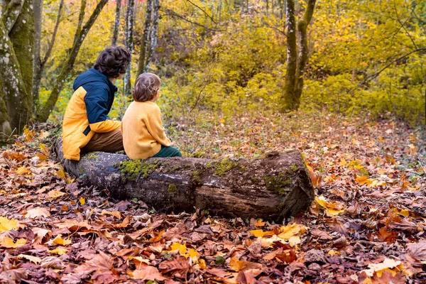 Два Мальчика Отдыхают Сидя Стволе Дерева После Долгой Прогулки Лесу — стоковое фото
