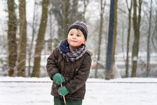 Menino Adorável Criança Andando Parque Inverno Criança Vestindo Roupas Quentes — Fotografia de Stock