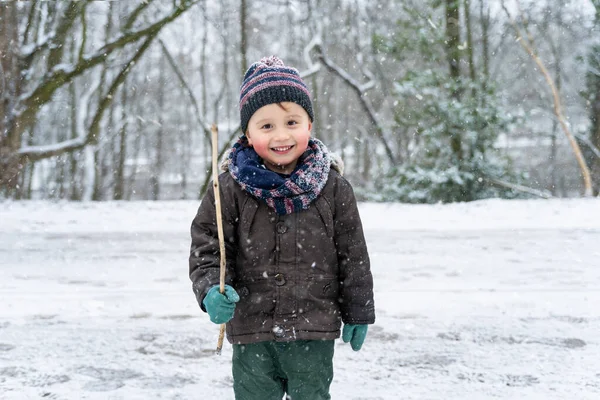 Menino Adorável Criança Andando Parque Inverno Criança Vestindo Roupas Quentes — Fotografia de Stock
