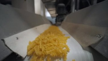 Makarna fabrikasında beyaz taşıma bandı çalışan çiğ makarna inanılmaz..