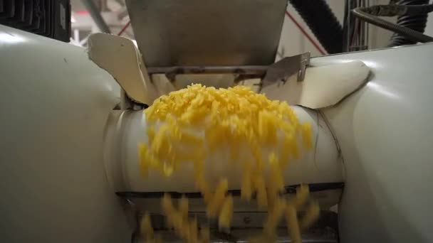 Geweldige schot rauwe pasta macaroni lopende stalen transportband op pasta fabriek. — Stockvideo