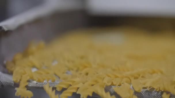 Macaroni falling down in a la carte machine on a conveyor belt — Stock Video