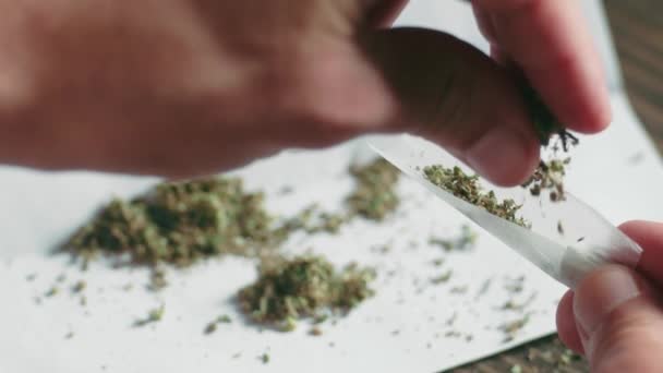 Filmación cercana de las manos de los hombres durante la preparación de un porro de marihuana, de su lado — Vídeos de Stock