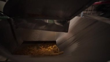 Makarna ve Erişte Fabrikası. Makaroniler taşıma bandından başka bir hatta atılıyor