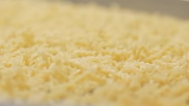 Schüttelband bewegt sich auf gerade hergestellter trockener Pasta durch Fabriklinie — Stockvideo