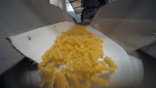 Pasta cruda secca biologica integrale penne maccheroni in esecuzione su un trasportatore — Video Stock