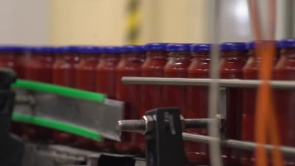 Bir sürü kutu domates sosunu konveyör bandında etiket makinesine taşımak — Stok video