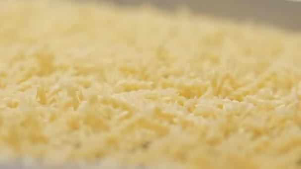 Macaroni zittert auf einem Förderband Nahaufnahmen aus der Fabrik — Stockvideo