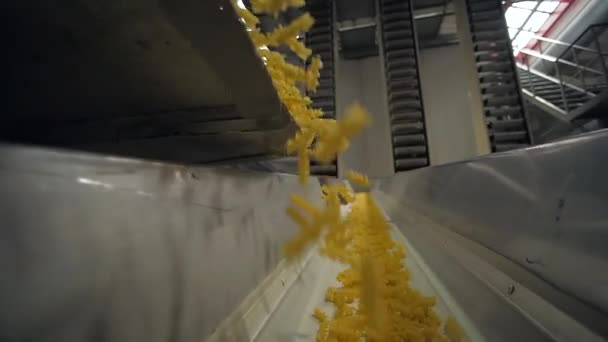 Shaking conveyor belt moves on dry macaroni to fall on long conveyor — Stock Video