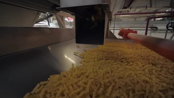 Slow motion shot of macaronis fall from automatic pasta manufactory machine — Stock Video