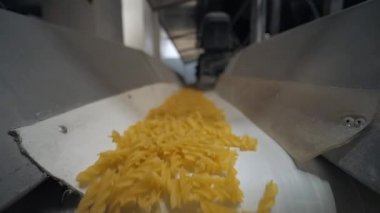 Makarna fabrikasında beyaz konveyör bandı çalışan geniş açılı makarnayı kapat..