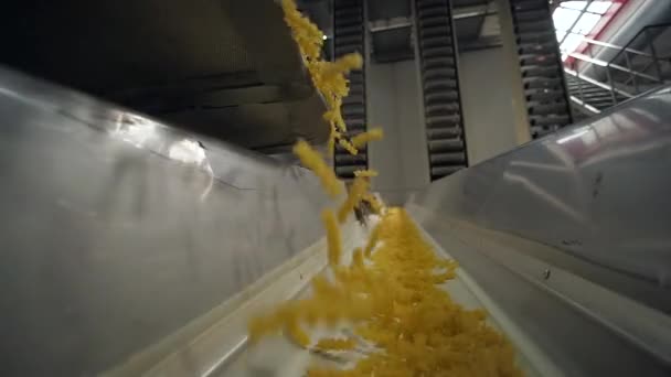 Gettare maccheroni da un nastro trasportatore al pastificio - slow-motion — Video Stock